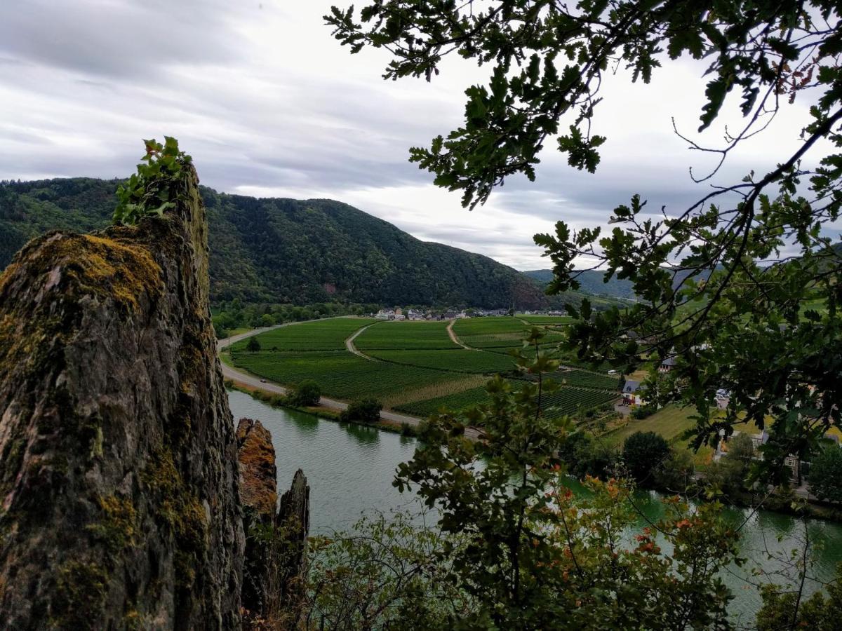 Weingut Pension Hammes-Krueger Элленц-Польтерсдорф Экстерьер фото